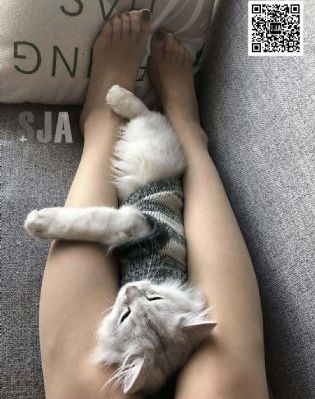 欧美流行社交软件_720高清完整版播放